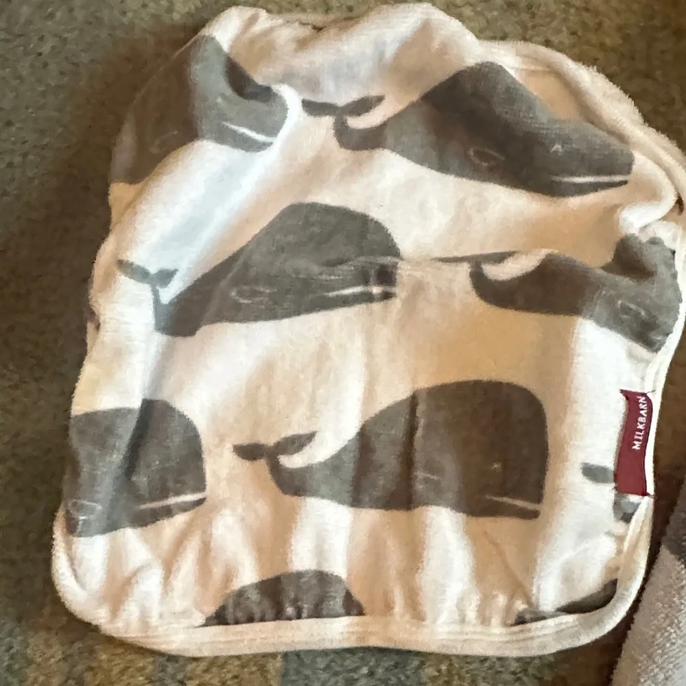 Pottery Barn Kids Gray and White Striped Hooded Towel Set
